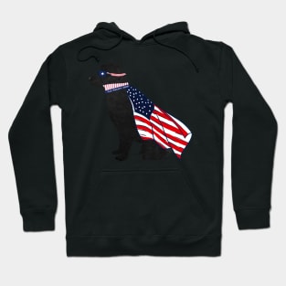 Patriotic Black Lab Silhouette - Preppy Super Dog Hoodie